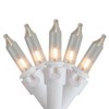 Northlight 300ct Decorative Christmas Lights Clear - 61' White Wire - 2 of 4