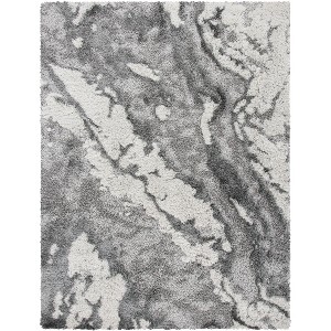 Horizon Shag HZN890 Power Loomed Indoor Rugs - Safavieh - 1 of 4
