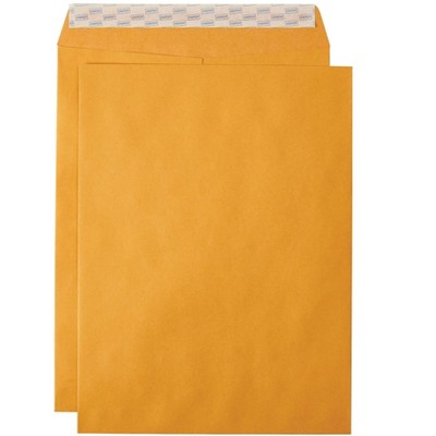 MyOfficeInnovations EasyClose Catalog Envelopes 9"L x 12"H Brown 100/Box (381970/19024)