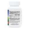 Animal Parade MagKidz-Cherry Flavor Sugar Free by Nature's Plus  -  90 Tablets - 2 of 3