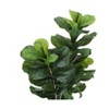 Artificial Plant, 41" Tall, Fiddle Tree, Indoor, Faux, Fake, Floor, Greenery, Potted, Real Touch, Decorative, Green Leaves, Black Pot - 4 of 4