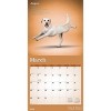 BrownTrout Yoga Dogs 2026 12"x24" Hanging Square Wall Calendar Plastic-Free - 3 of 4