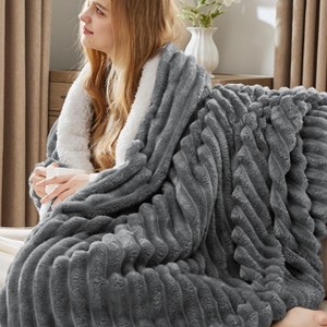 Bedsure Ultra-Plush Fleece Blanket - Warm Winter Blanket for Bed, Soft Home Decor Throw for Couch, All-Season Coziness - 1 of 4