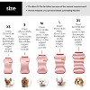 Dog Striped Shirts for Extra Small Dogs 5 Pack, Dog Pullover T-Shirts, Dog Sleeveless Striped Vests, Lightweight Puppy Kitten Tank Top Cat Tee - 2 of 4
