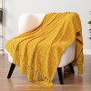 PAVILIA Chenille Throw Blanket with Woven Knitted Tassel Fringe for Couch, Living Room Decor and Bed - 4 of 4