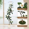 Rubber Tree 5FT Artificial Tree in White Planter Pot,Faux Floor Plant Artificial Plants with 7 Pcs Magnolia Flowers - 2 of 4