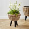 Plum & Post Woven Rattan Dry Basket Plant Riser 17" - 3 of 4