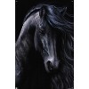 Trends International Laurie Prindle - The Black Unframed Wall Poster Prints - 4 of 4