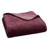 NCAA Signature Montana Grizzlies 50 x 60 Raschel Throw Blanket - 3 of 3