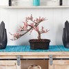 Nearly Natural Cherry Blossom Bonsai Silk Tree - 4 of 4