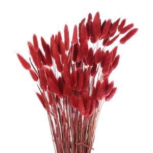 Unique Bargains Decorative Natural Dried Floral Bunny Tail Artificial Plants 120 Pcs - 1 of 4
