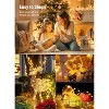 FAAYFIAN 33 ft 100-LED USB Twinkle Fairy Lights, Warm White String Lights with Timer & 8 Modes - 4 of 4