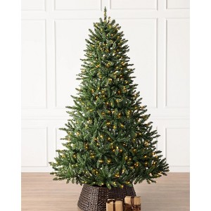 Classic Evergreen Spruce - 1 of 1