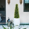 Rbied Green Composite Artificial Tree, Artificial Foliage/Topiary for Indoor and Outdoor ( 2-Piece ) - 4 of 4