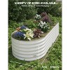 2PCS Galvanized Raised Garden Beds 4x2x2 FT, Beige, Self-Watering Metal Planters, Oval Decorative Raised Beds, Beige - 4 of 4