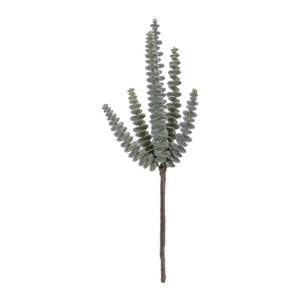 Succulent Plant Pick (Set of 6) - 1 of 3