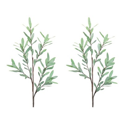 Olive Leaf Twig Branch (Set of 2)