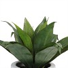 Northlight 13" Agave Artificial Potted Plant - Green - 4 of 4