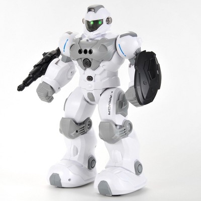 Modern Programmable RC Robot 2.4Ghz