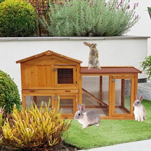 Bencmate Spacious Two ,Tier Design Chicken Coops Rabbits for Playground Garden, Brown, (55.5"*17.7"*33") - 1 of 3