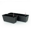 Okak Vertical Succulent & Orchid Pots with Drainage Holes Space Saving Planters for Indoor/Outdoor, 2 Pack(S+M) - 3 of 4