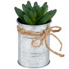 Northlight 5" Pachyveria Succulent Artificial Potted Plant - Green/Silver - 3 of 4
