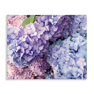 Stupell Industries Pastel Hydrangea Flower Petals, 30" x 24"