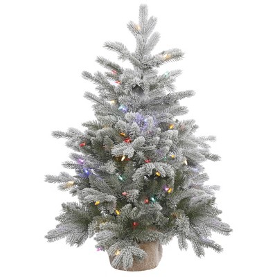Vickerman Frosted Sable Pine Artificial Christmas Tabletop Tree PreLit