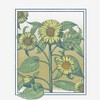 Sunflower Frame Crew Neck Long Sleeve Adult Tee - 2 of 2