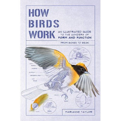 How Birds Work - by  Marianne Taylor (Paperback)