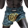 Fairtex BS1915 New Muay Thai Boxing Shorts Slim Cut - 4 of 4