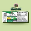 Nature's Answer Gotu Kola 2000mg Extract 1 Oz - 2 of 4