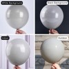 PartyWoo Balloons Gray Matte 18 12 10 5 Inch 140 pcs - 3 of 4