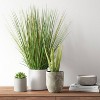 25" x 15" Artificial Onion Grass Arrangement in Ceramic Pot - Threshold™: Indoor Faux Foliage Decor - image 2 of 4