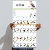 TF Publishing 2025 Wall Calendar 12"x12" Birds Backyard and Beyond: Monthly Hanging Saddle Stitch for All Ages - 4 of 4