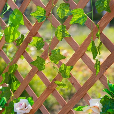 Elevated Natural Wood Garden Bed with Climbing Trellis