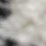 black, light gray, white, gray