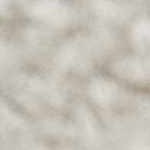 black, light gray, white, gray