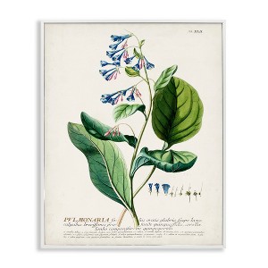 Stupell Industries Botanical Blue Flowers Vintage Design Framed Giclee Art - 1 of 4