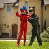 A Leading Role x Miraculous Cat Noir Child Dress Up - 3 of 4