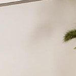 white tube + washed gray