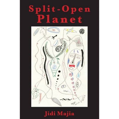 Split-Open Planet - by  Jidi Majia (Paperback)