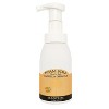 Plantlife Vanilla Orange Foam Soap Value Set – Gentle, Moisturizing, Plant-Based for All Skin Types – Hand & Body Wash – 8.5-16oz - 2 of 3