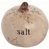 Transpac Harvest Embossed Pumpkin Dolomite Salt and Pepper Shakers Collectables Off-White 2.5 in. Set of 2 - 3 of 4