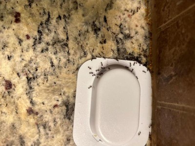 Guest review image 1 of 1, zoom in