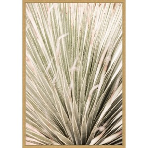 Amanti Art Desert Spoon by Shot by Clint Canvas Wall Art Print Framed - 1 of 4