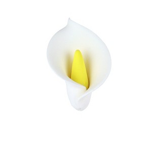O'Creme Medium White and Yellow Calla Lilly Gumpaste Flowers - Set of 6 - 1 of 2