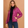 Allegra K Women's Hooded Packable Thickened Short Down Puffer Jacket - 2 of 4