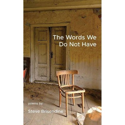 The Words We Do Not Have - by  Steve Brisendine (Paperback)