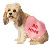 Rubie's Candy Heart Pet Costume, X-Large - 2 of 2